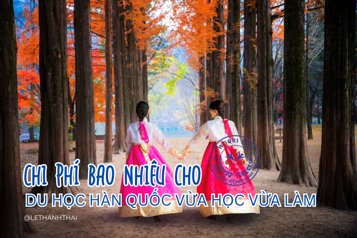Chi Phí Du Học Hàn Quốc Vừa Học Vừa Làm 2025: Bản Phân Tích Chi Tiết Từng Khoản