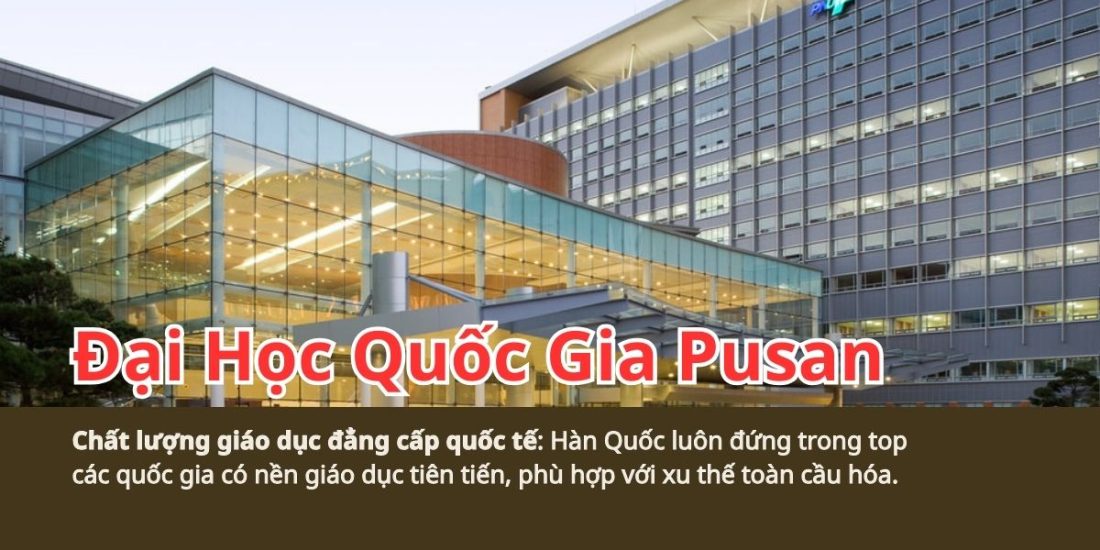 Hành Trình Tri Thức Tại Đại Học Quốc Gia Pusan Cùng Trung Tâm Du Học Woori: Du Học Hàn Quốc Quảng Bình