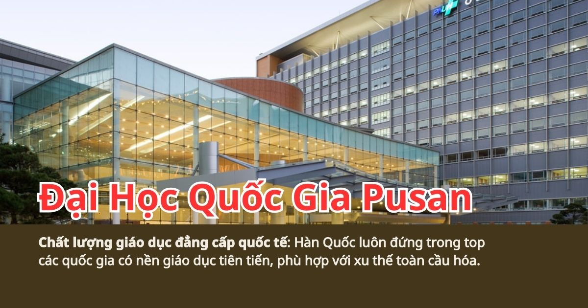 Hành Trình Tri Thức Tại Đại Học Quốc Gia Pusan Cùng Trung Tâm Du Học Woori: Du Học Hàn Quốc Quảng Bình